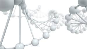 Résultat de recherche d'images pour "white dna"