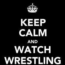 Wrestler Quotes Or Sayings. QuotesGram via Relatably.com