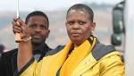 Zandile Gumede apologises Durban schools,