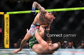 Licensable picture: UFC 329: Max Holloway Defeated Conor McGregor By TKO
