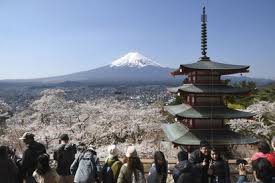Mt. Fuji cherry blossom festival canceled over fears of visitors behaving badly