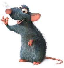 Image result for rat images