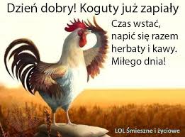 Obrazek