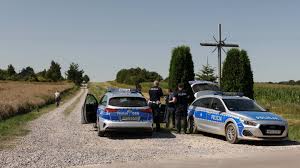 Trend Google: nato