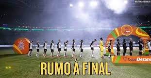 Meu Timão