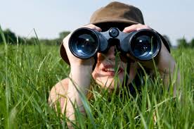 Image result for Woman With Binoculars