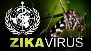 Image result for images of zika virus