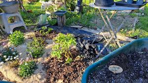 Mon jardin : attention au gel !