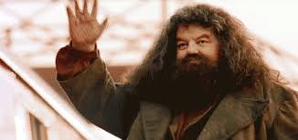Hagrid