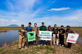 Image result for Bird watchers