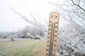Polar Vortex To Hit Florida With Plunging Temperatures