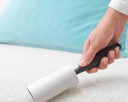 lint rollerの画像