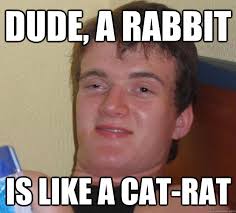 Dude, a rabbit is like a cat-rat. Dude, a rabbit is like a cat-rat - Dude, a rabbit is. add your own caption. 170 shares - 5a0982101881e5662b57c7d0357e6f5973c8e4c0e6dac23593eff5d6ee2e0218