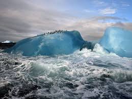 Image result for bing icebergs