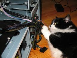 Image result for cats inside computer