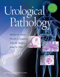 Price History of Heptinstall's Pathology of the Kidney 8th Edition
