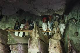 Image result for TANA TORAJA