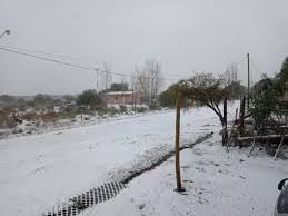 Diario de Cuyo - News update