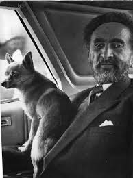 Image result for haile selassie