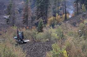 B.C. wildfires: Bald Range fire grows to 191 sq km, thousands under evacuation orders, as RCMP investigates blaze as suspicious