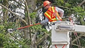 Simple Ways to Cut Down Your Gas, Electric and Water Bills