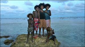Image result for bougainville island