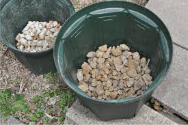 「ボラ土」の画像検索結果