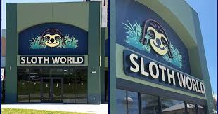 What happened to the 31 sloths at Sloth World Orlando’s warehouse?