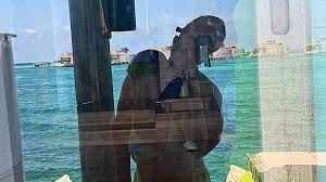 ¡Amor en la Cancha! Romance Confirmado entre Potapova y Griekspoor - Imagen principal del artículo