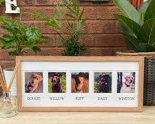 photo frame with a family and pet photoの画像