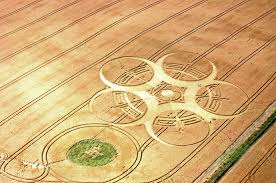 Crop Circles - a sign of the end times? – The Coming King