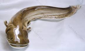 Image result for wels catfish