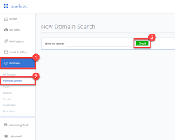 Bluehost domain name hosting