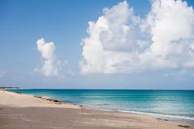 Minnesota Woman Killed in Suspected Shark Attack in U.S. Virgin Islands