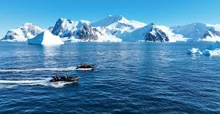 Uncovering whale superhighways in the Southern Ocean — WWF ...