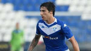 Trend Google: cellino