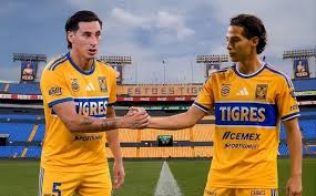 Refuerzo fraternal