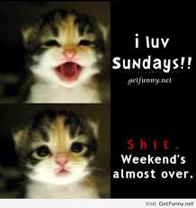 Search funny sunday quote images via Relatably.com