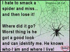 My phobia on Pinterest | Funny Spider, Spiders and Spider Humor via Relatably.com