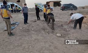 عنب بلدي - News update