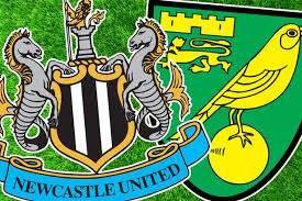 Image result for newcastle v Norwich logo