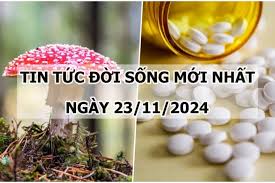 Tin tức đời sống 23/11/2024: 8 người đi cấp cứu, nghi ngộ độc do ăn nấm