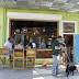 Bar review: Dog Bar in St. Petersburg serves you while pups play