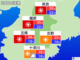 MSN - News update