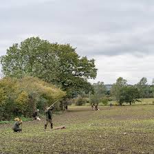 BASC - News update