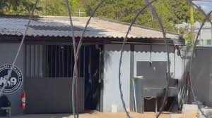 Veterinária atacada por pastor-belga do Senado no centro de Brasília passa por cirurgia