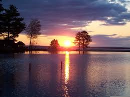 Image result for fishlessman sebago