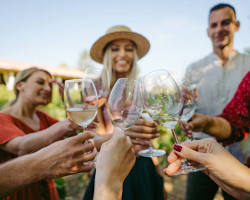 Image of private vineyard wine tasting for friends