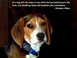 Famous Dog Quotes Lover. QuotesGram via Relatably.com