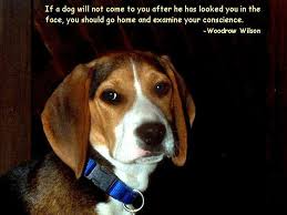 Funny Wallpapers: Dog quotes, dog quote, famous dog quotes via Relatably.com